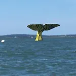 Rayon De Soleil * Arcachon