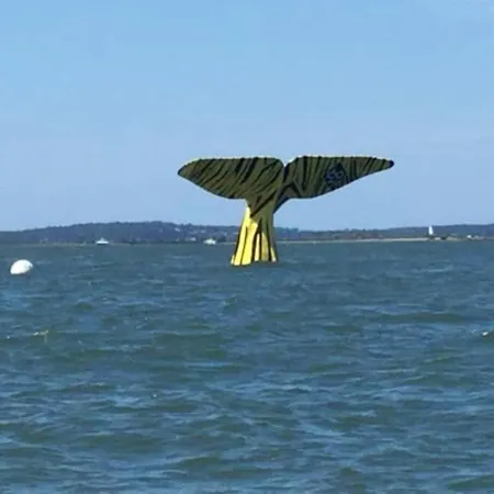 Rayon De Soleil * Arcachon