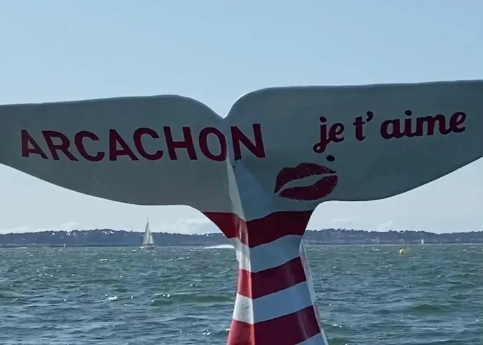 Rayon De Soleil Holiday home *